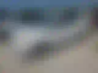 Vehicle Image- 2014 Ford C-Max