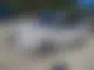 Vehicle Image- 2013 Ford C-Max