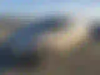 Vehicle Image- 2015 Ford C-Max