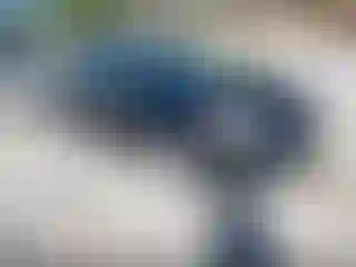 Vehicle Image- 2016 Ford C-Max