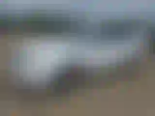 Vehicle Image- 2007 Ford Five Hundred