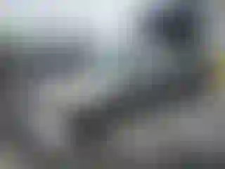 Vehicle Image- 2006 Ford Five Hundred