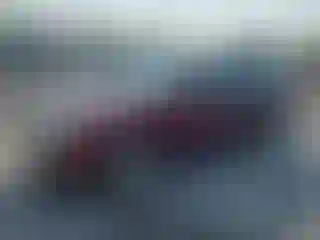 Vehicle Image- 2006 Ford Focus