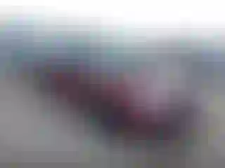 Vehicle Image- 2007 Ford Focus