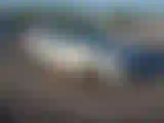 Vehicle Image- 2007 Ford Focus