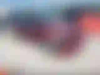Vehicle Image- 2007 Ford Focus
