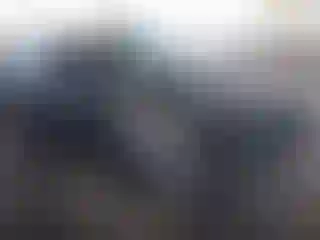 Vehicle Image- 2007 Ford Focus