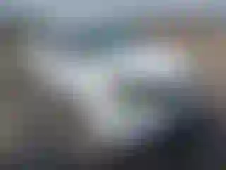 Vehicle Image- 2006 Ford Focus