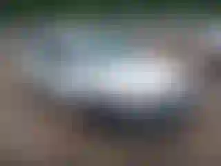 Vehicle Image- 2000 Ford Focus