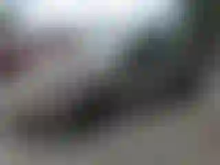 Vehicle Image- 2004 Ford Focus