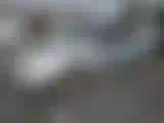 Vehicle Image- 2002 Ford Focus