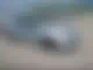 Vehicle Image- 2003 Ford Focus