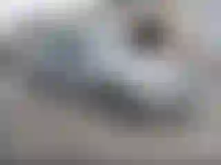 Vehicle Image- 2004 Ford Focus