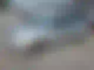 Vehicle Image- 2002 Ford Focus
