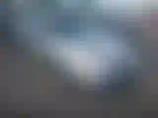 Vehicle Image- 2002 Ford Focus
