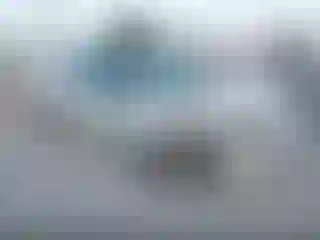 Vehicle Image- 2003 Ford Focus
