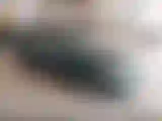 Vehicle Image- 2001 Ford Focus