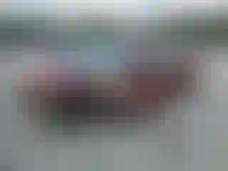 Vehicle Image- 2001 Ford Focus
