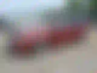 Vehicle Image- 2003 Ford Focus