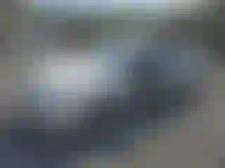 Vehicle Image- 2002 Ford Focus