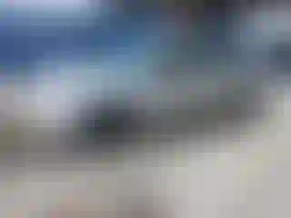 Vehicle Image- 2004 Ford Focus