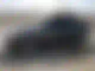 Vehicle Image- 2003 Ford Focus