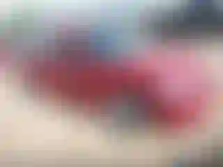 Vehicle Image- 2003 Ford Focus