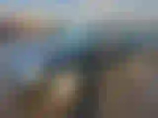 Vehicle Image- 2003 Ford Focus