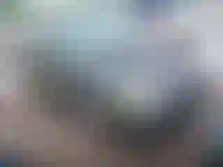 Vehicle Image- 2004 Ford Focus