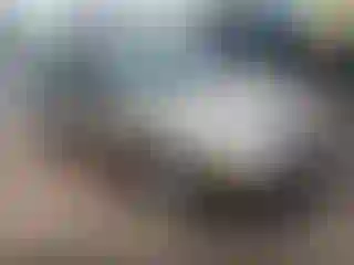 Vehicle Image- 2003 Ford Focus