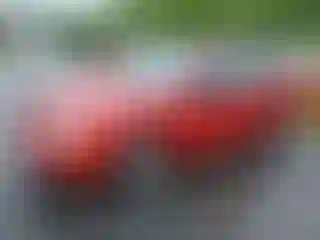 Vehicle Image- 2005 Ford Focus