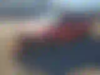 Vehicle Image- 2005 Ford Focus