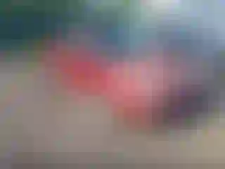 Vehicle Image- 2005 Ford Focus