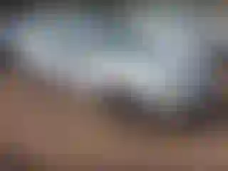 Vehicle Image- 2005 Ford Focus