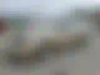 Vehicle Image- 2007 Ford Focus