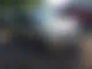 Vehicle Image- 2007 Ford Focus
