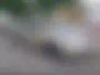 Vehicle Image- 2007 Ford Focus