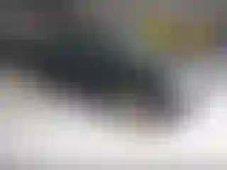 Vehicle Image- 2007 Ford Focus
