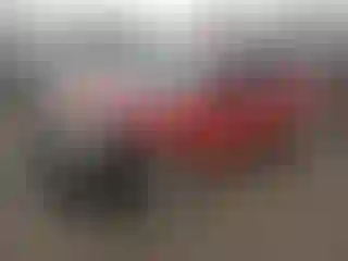 Vehicle Image- 2007 Ford Focus