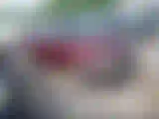 Vehicle Image- 2007 Ford Focus