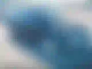 Vehicle Image- 2007 Ford Focus