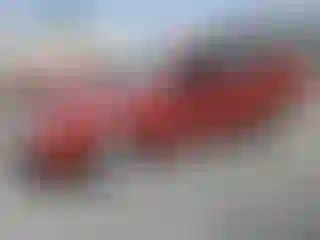 Vehicle Image- 2005 Ford Focus
