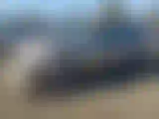 Vehicle Image- 2005 Ford Focus
