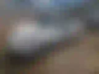 Vehicle Image- 2005 Ford Focus