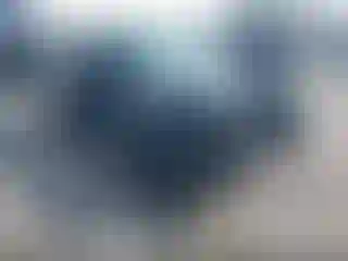 Vehicle Image- 2005 Ford Focus