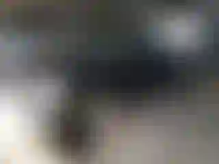 Vehicle Image- 2006 Ford Focus