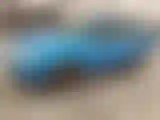 Vehicle Image- 2007 Ford Focus
