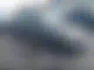 Vehicle Image- 2007 Ford Focus