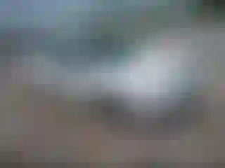 Vehicle Image- 2007 Ford Focus