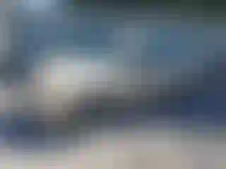 Vehicle Image- 2007 Ford Focus